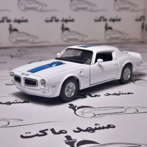 PONTIAC FIREBIRD TRANS AM 1972